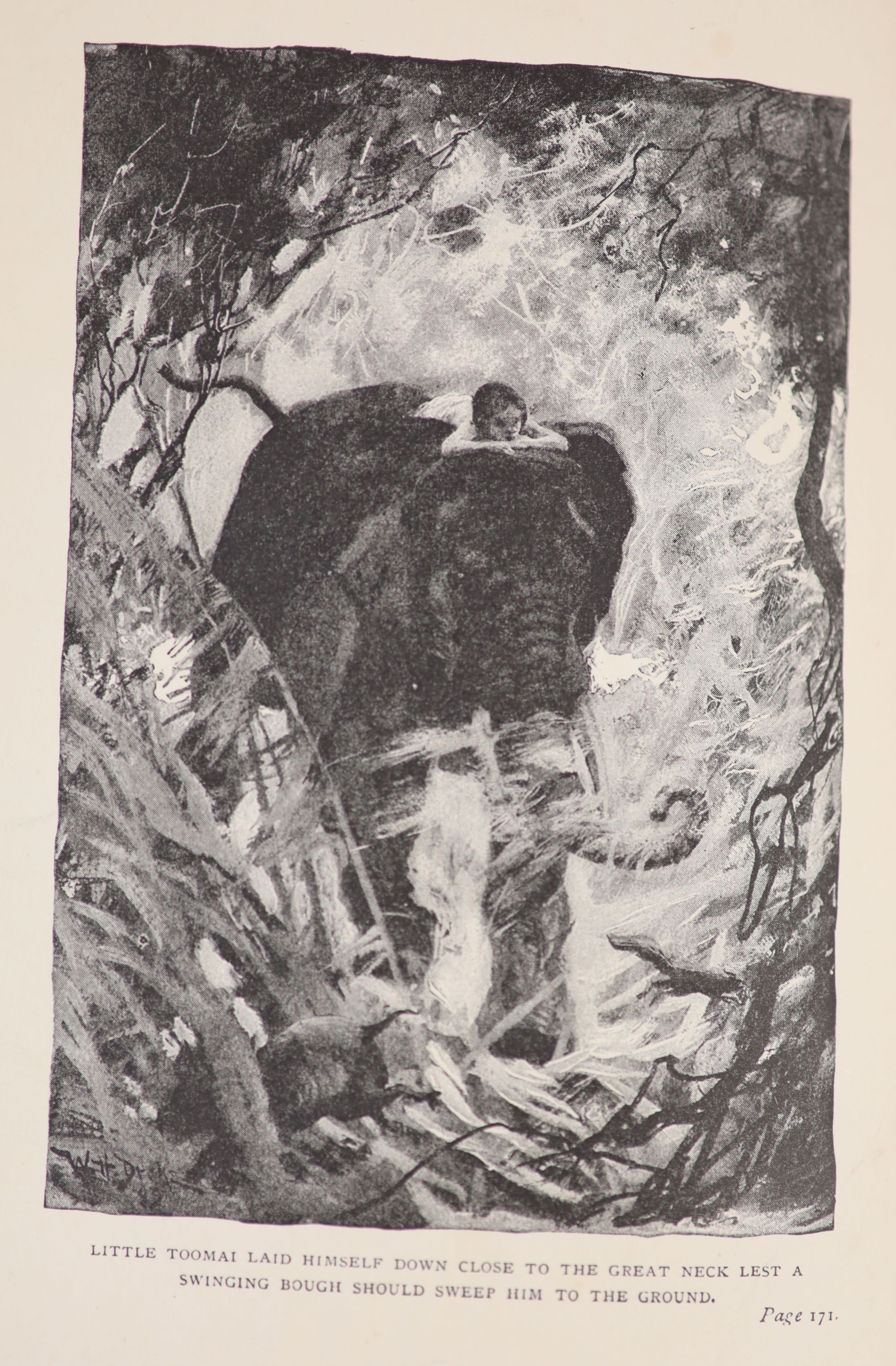 Kipling, Rudyard - The Jungle Book. With: The Second Jungle Book, 2 vols, (Jungle Book 1st edition, 3rd printing, The Second Jungle Book, 1st edition, 2nd printing) 8vo, original cloth, Macmillan & Co; London, 1895